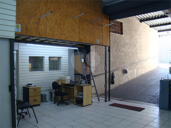 Foto REO1095412