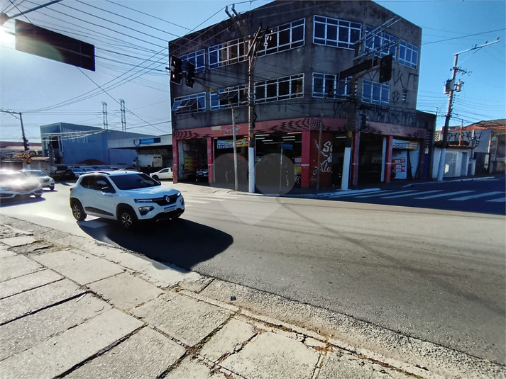 Foto REO1095422