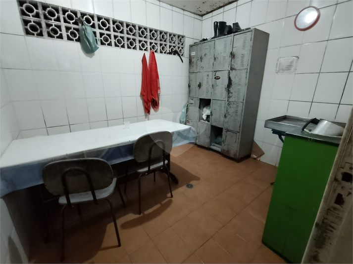 Foto REO1095422