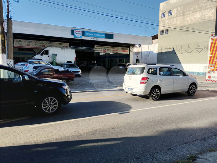 Foto REO1095422