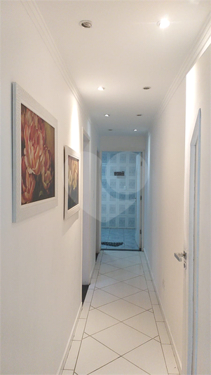 Foto REO1095432
