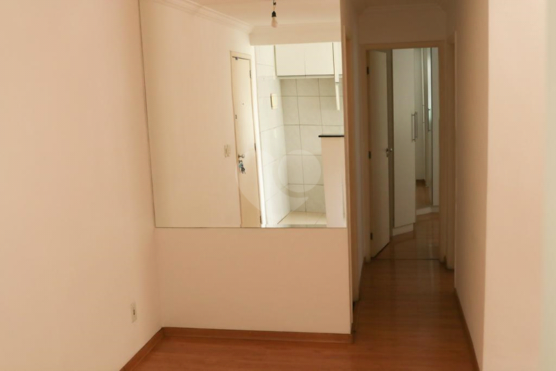 Foto REO1095443