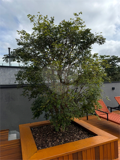 Foto REO1095452