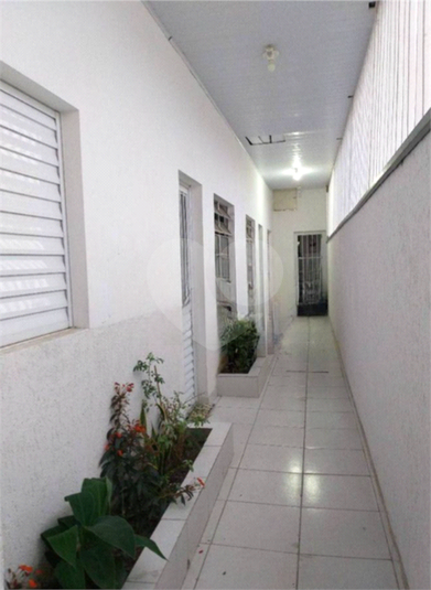 Foto REO1095453