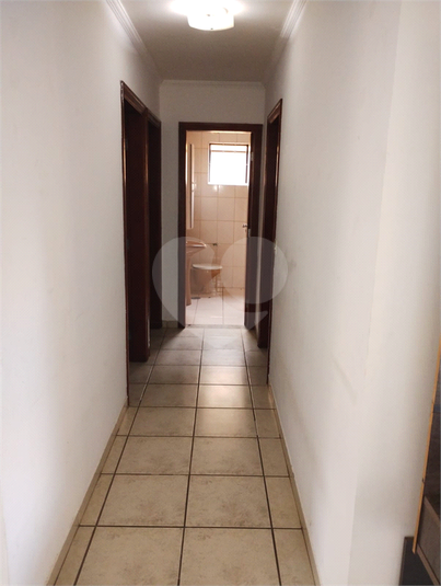 Foto REO1095454