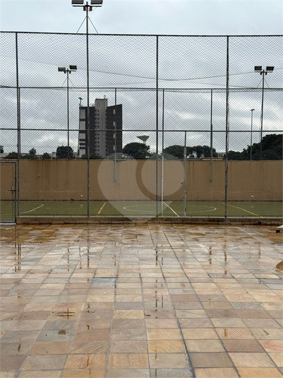 Foto REO1095456
