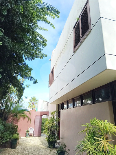 Foto REO1095462