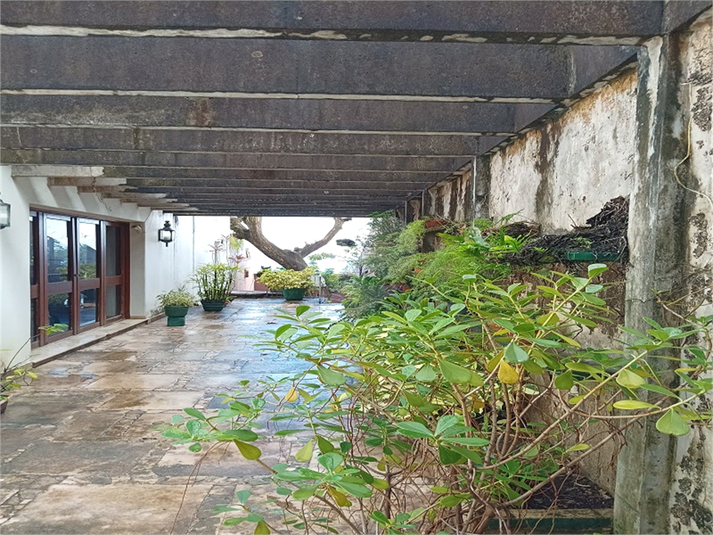 Foto REO1095462