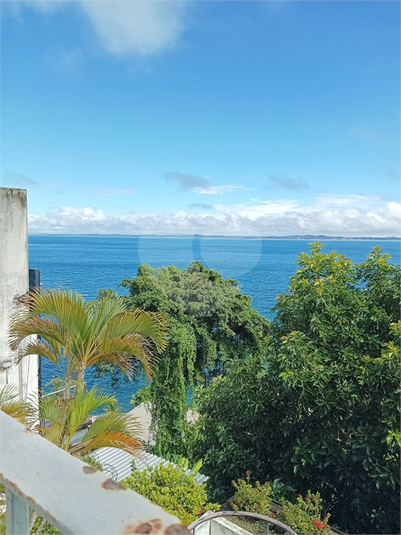 Foto REO1095462