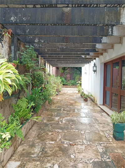 Foto REO1095462