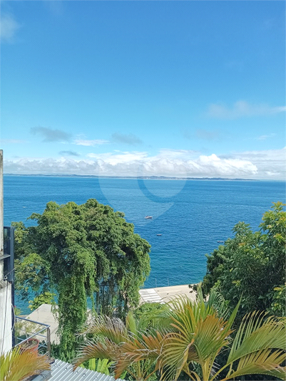 Foto REO1095462