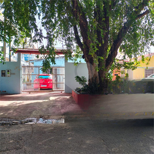 Foto REO1095474