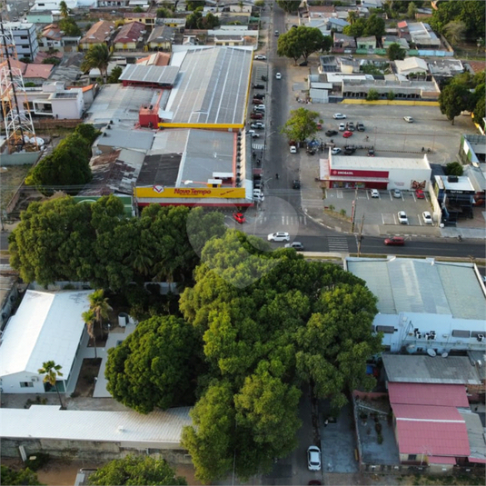 Foto REO1095474