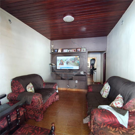 Foto REO1095474