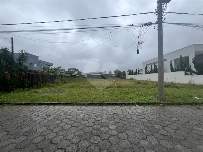 Foto REO1095477