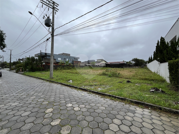 Foto REO1095477