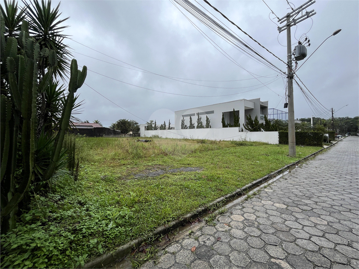 Foto REO1095477