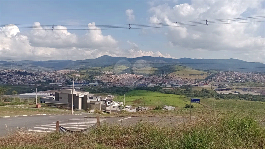 Foto REO1095479