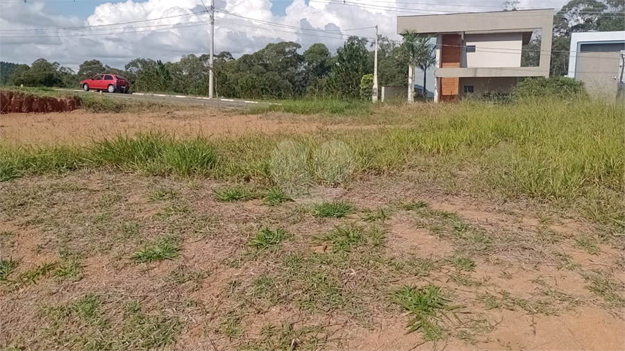 Foto REO1095479