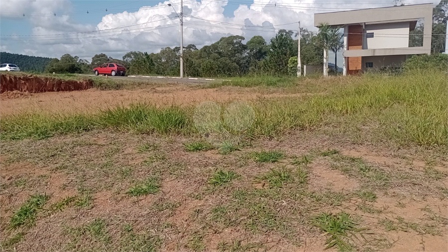Foto REO1095479