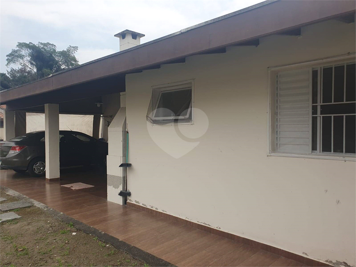 Foto REO1095481