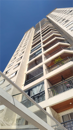 Foto REO1095484