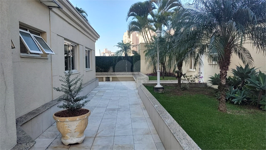 Foto REO1095484