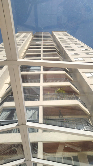 Foto REO1095484