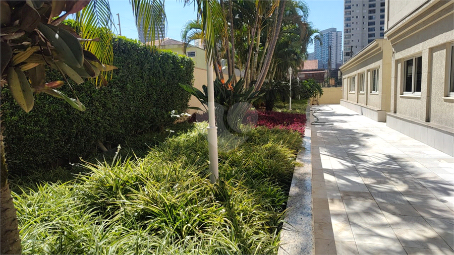Foto REO1095484