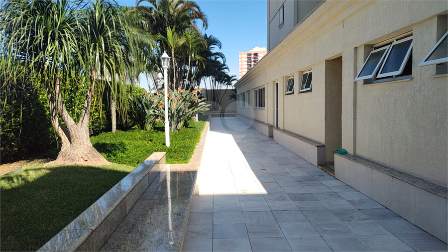 Foto REO1095484
