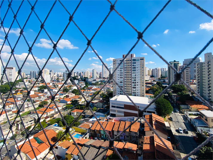 Foto REO1095487