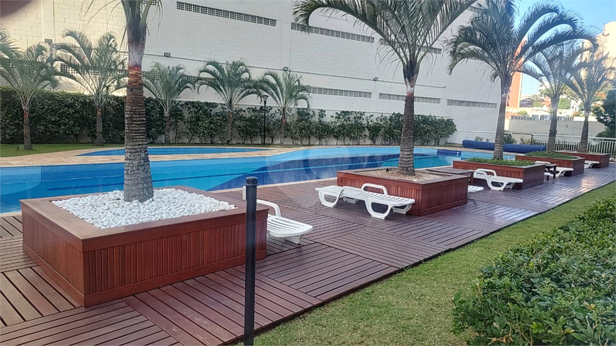Foto REO1095488