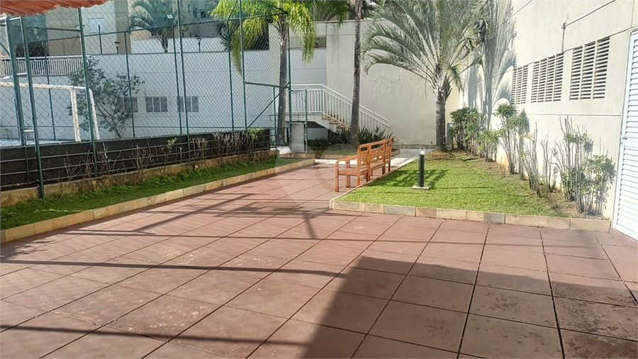 Foto REO1095488