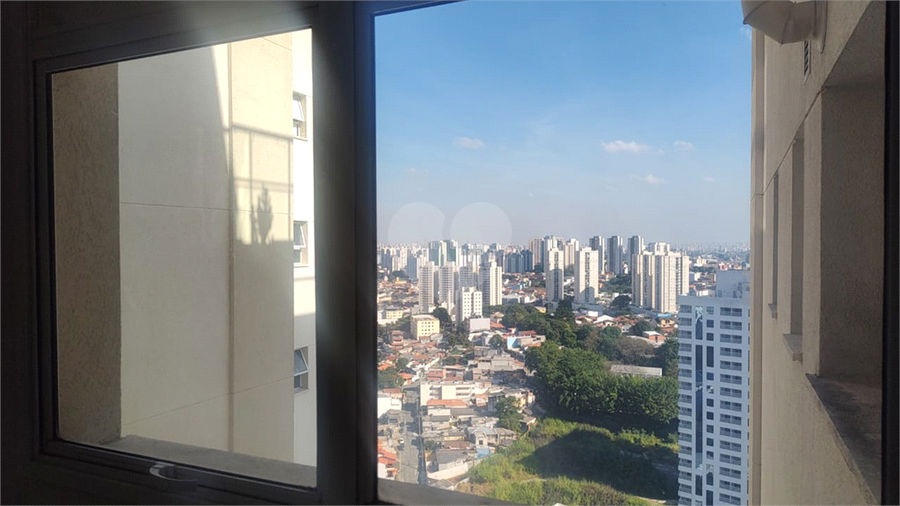 Foto REO1095488