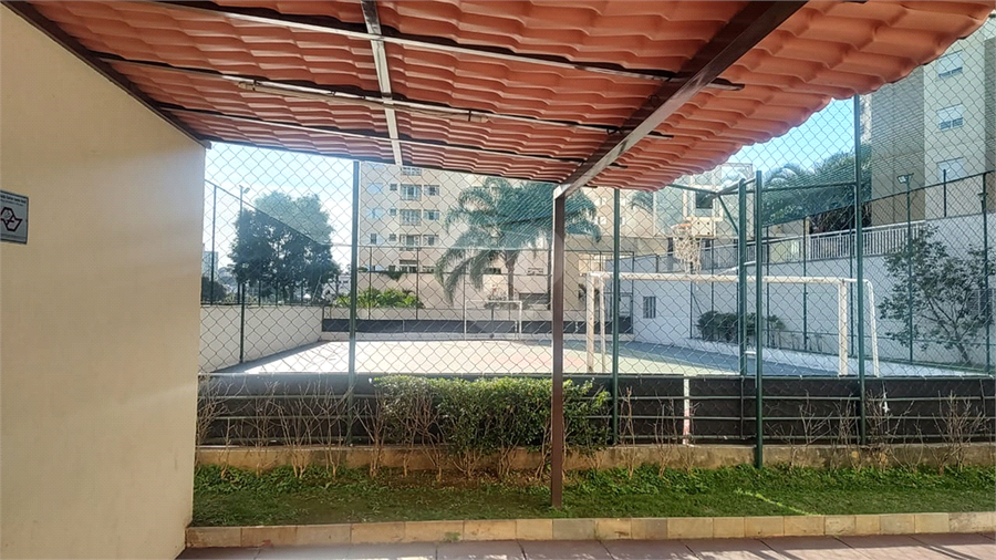Foto REO1095488