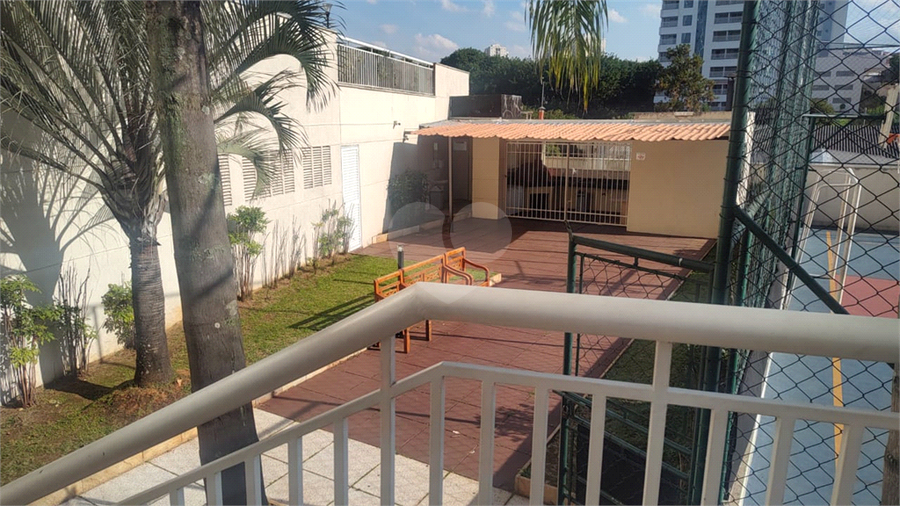 Foto REO1095488
