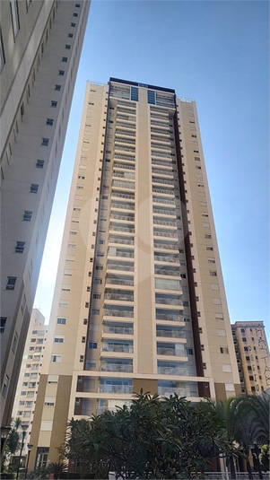 Foto REO1095488