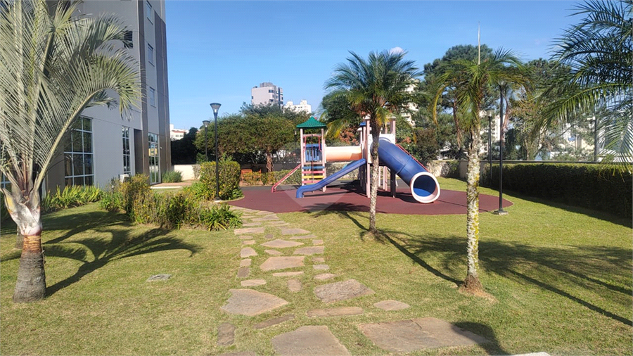 Foto REO1095488
