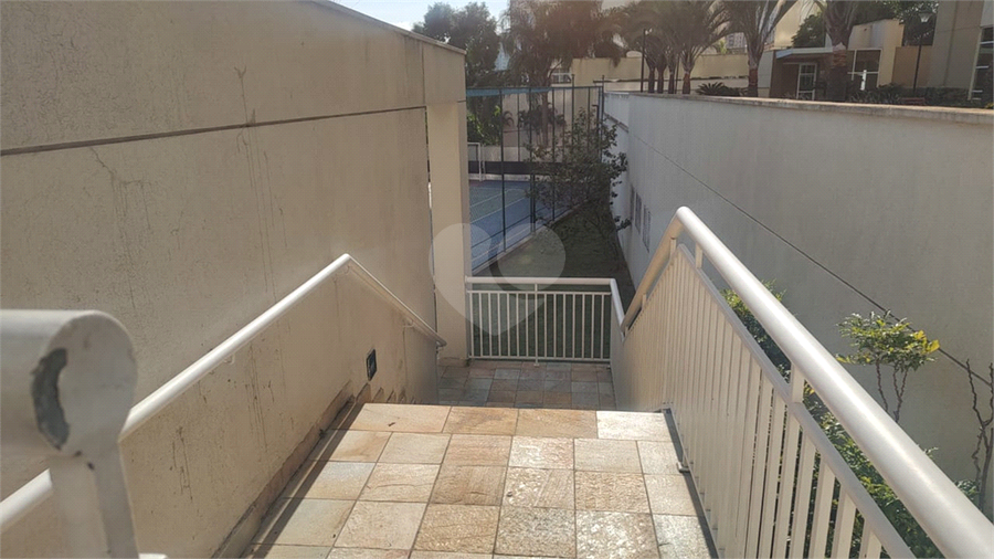 Foto REO1095488