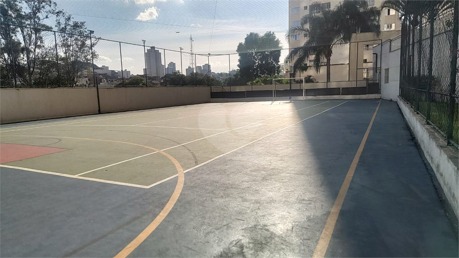 Foto REO1095488