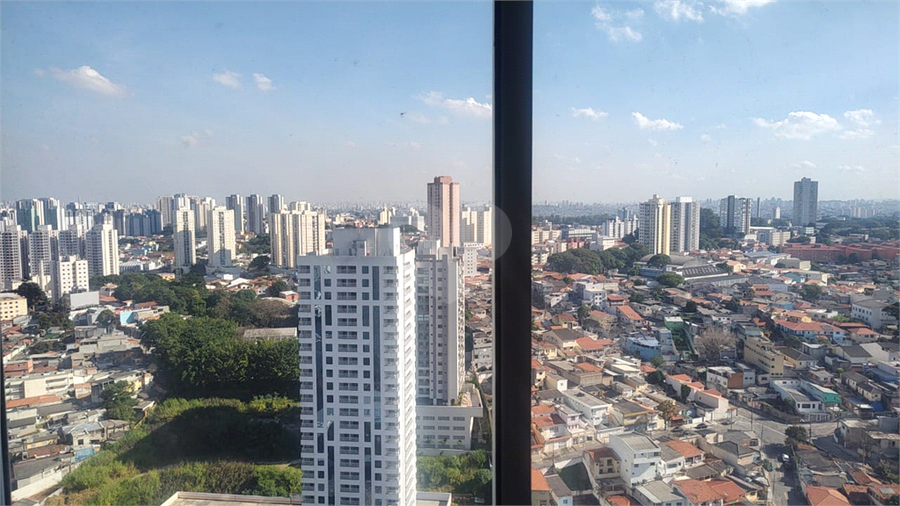 Foto REO1095488