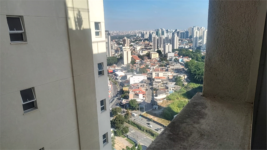 Foto REO1095488