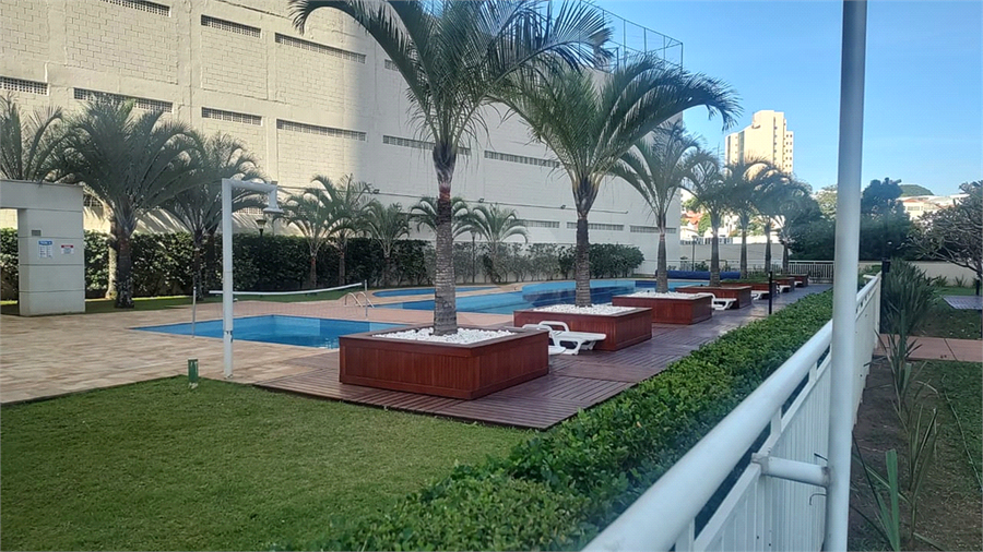 Foto REO1095488