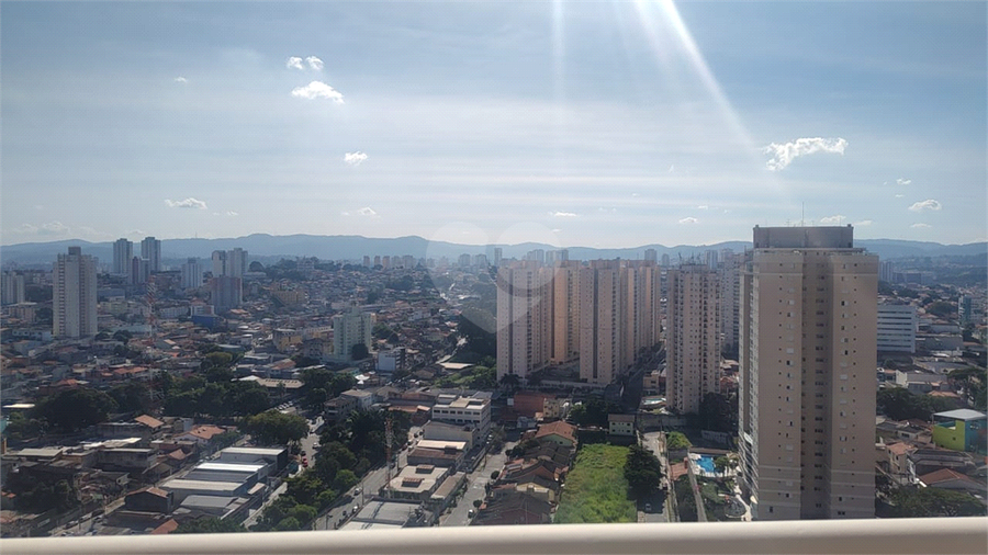 Foto REO1095488