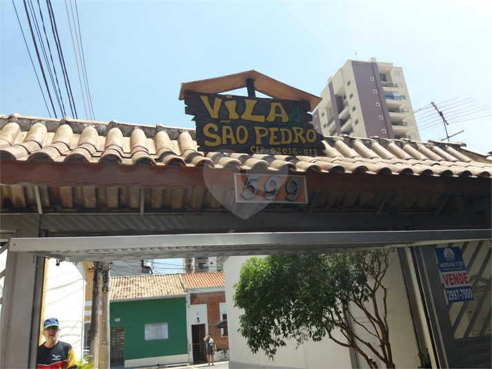 Foto REO1095490
