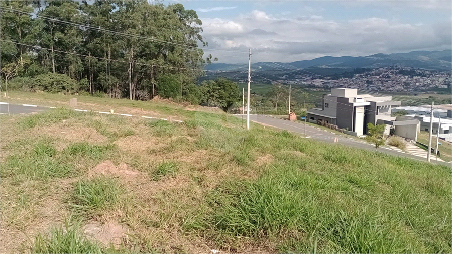 Foto REO1095506