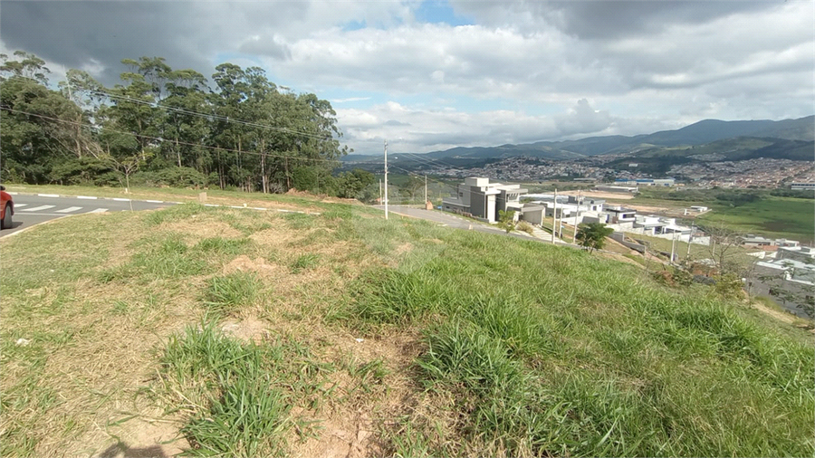 Foto REO1095506
