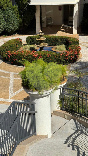Foto REO1095511