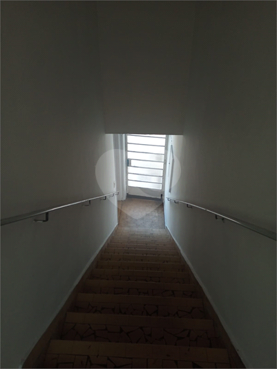 Foto REO1095518