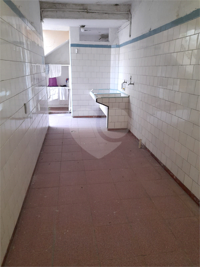 Foto REO1095518